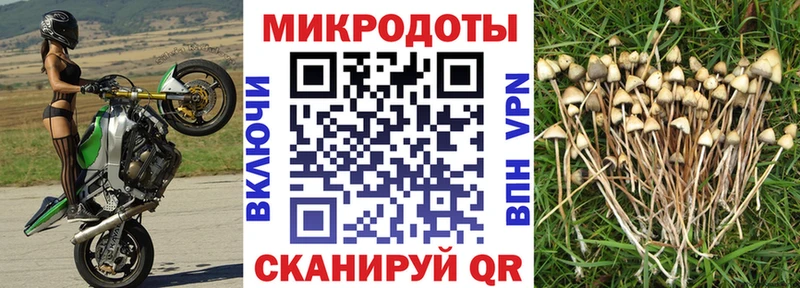 сколько стоит Володарск Псилоцибиновые грибы GOLDEN TEACHER