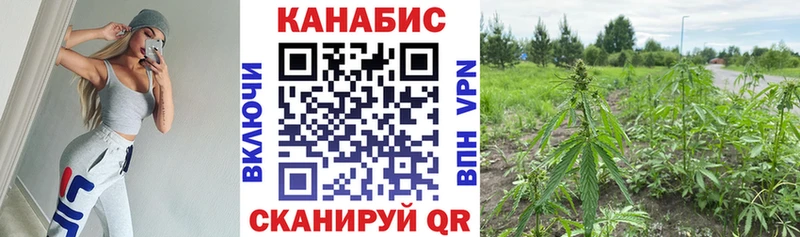 Конопля MAZAR  цена   Володарск 